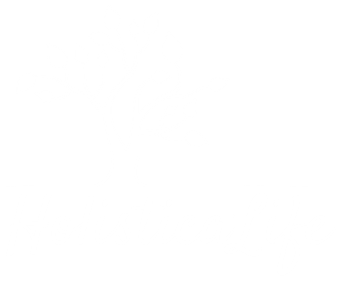 Holistica life